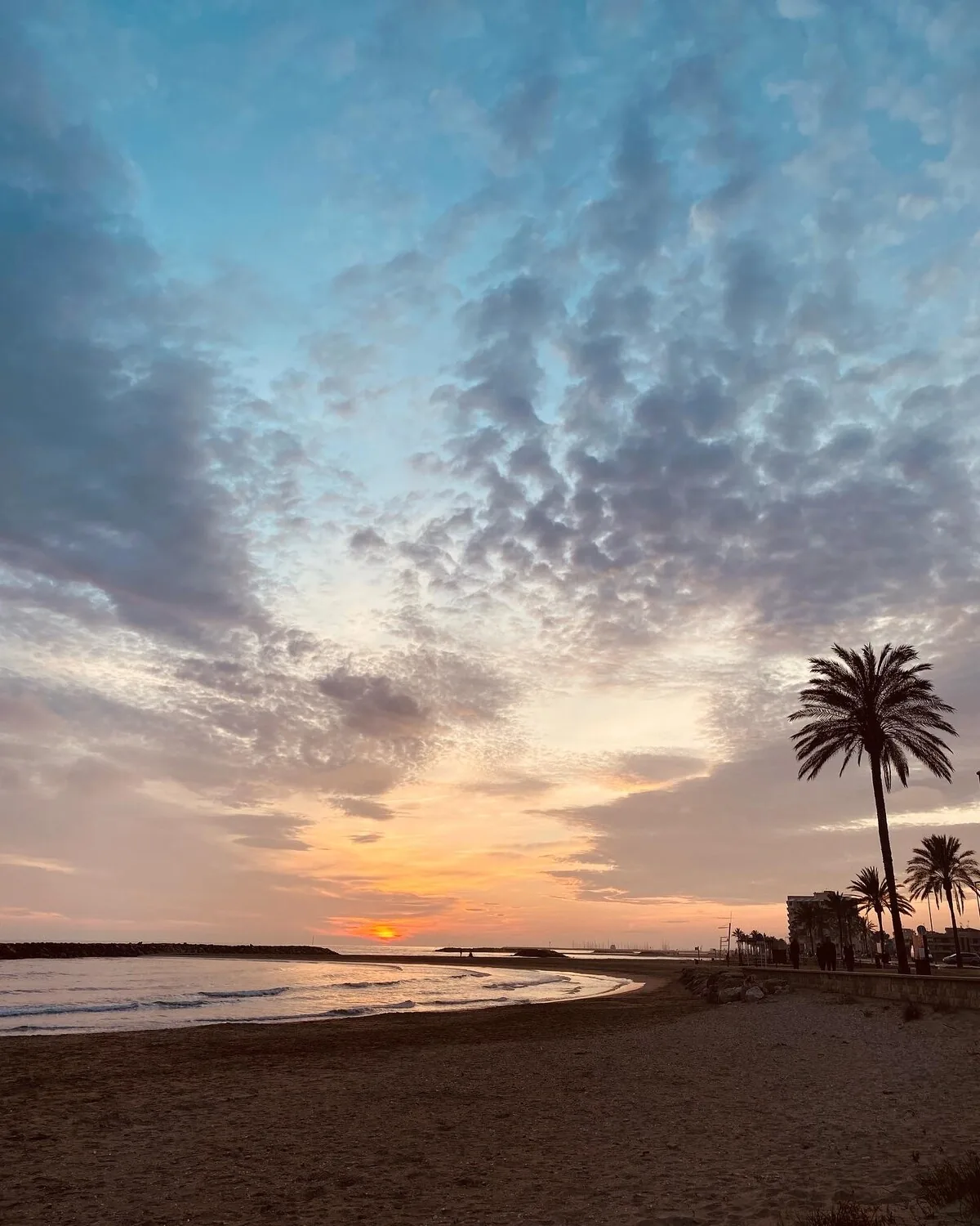 Palm-lined seafront promenade in Cunit at sunset